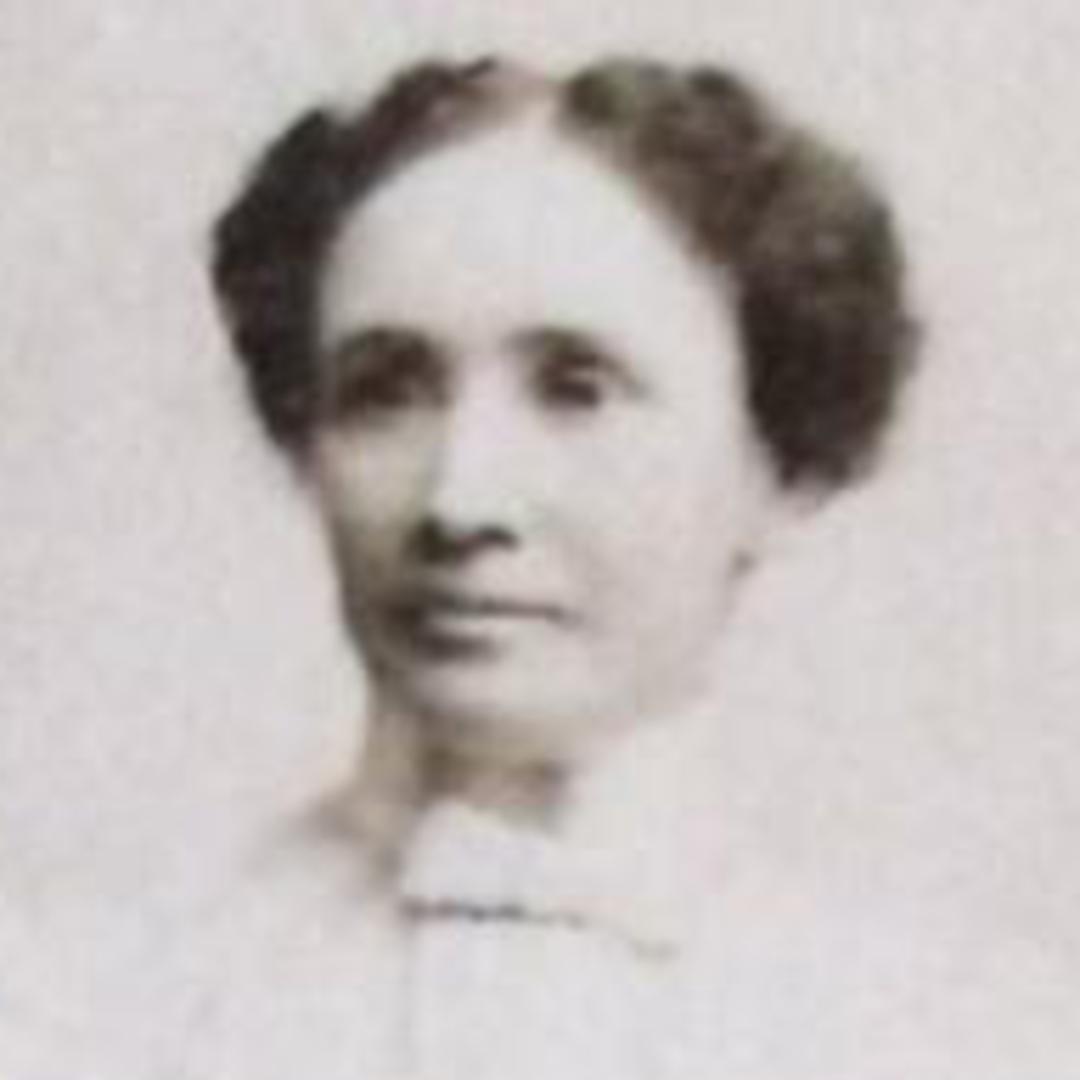Mary Annie Mountford (1864 - 1928) Profile